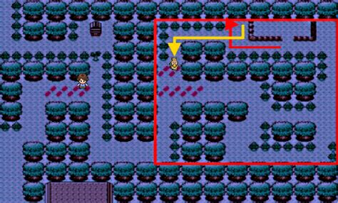 how to catch farfetch'd in pokemon heartgold|Pokemon Soul Silver Farfetch'd puzzle tutorial .
